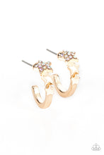 Load image into Gallery viewer, Starfish Showpiece - Multi earrings
